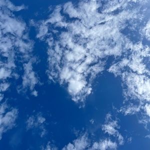 Meet your Posher, Mindi